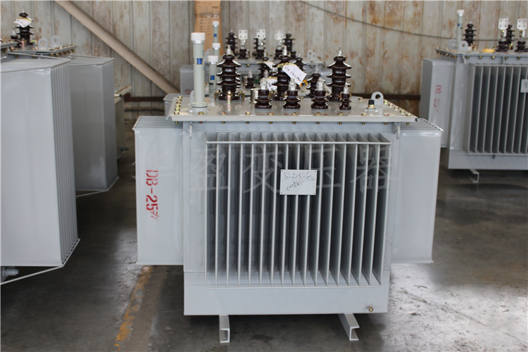 永州S20-800kVA/10kV/0.4kV变压器